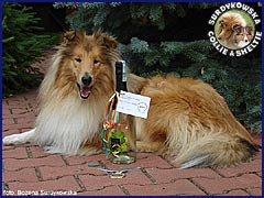 Ronja - z wyrazami uznania dla hodowli Surdykowska FCI 2007