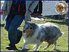 Penelopka - wystawa Grudziądz 21.04.2007