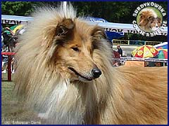 Ronja - wystawa Inowrocław 25.05.2007