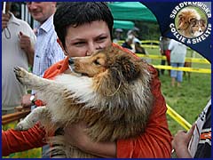 Owczarek Szetlandzki Sheltie - CALINKA Surdykowska FCI Calinka (Szelcia) - wystawa Koszalin 22.07.2007