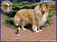 Ronja - wystawa Radom 20.05.2007