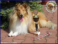 Owczarek Szkocki Collie - MŁ.CH.PL. RONJA vom Schloß Ramstedt Ronja - wystawa Radom 20.05.2007