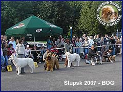 Calinka (Szelcia) - wystawa Słupsk 01.09.2007