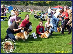 Owczarki Szetlandzkie Sheltie - Calinka(Szelcia), Ghandi, Farys, Gabi, Herbi - najlepsza Hodowla - wystawa Klubowa Łódź :) Calinka(Szelcia), Ghandi, Farys, Gabi, Herbi - najlepsza Hodowla - wystawa Klubowa Łódź 23.09.2007