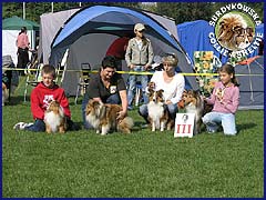 Owczarki Szetlandzkie Sheltie - Gabi, Calinka(Szelcia), Herbi, Ghandi - najlepsza Suka Hodowlana - wystawa Klubowa Łódź :) Gabi, Calinka(Szelcia), Herbi, Ghandi - najlepsza Suka Hodowlana - wystawa Klubowa Łódź 23.09.2007