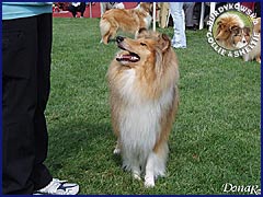 Ronja - wystawa Białystok 25.08.2007