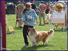 Owczarek Szkocki Collie - MŁ.CH.PL. RONJA vom Schloß Ramstedt Ronja - wystawa Białystok 25.08.2007