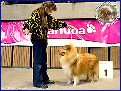 Ronja - wystawa Katowice 18.03.2007