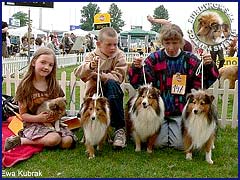 Owczarki Szetlandzkie Sheltie - Gabi, Frania i Celinka Surdykowskie FCI Gabi, Frania, Celinka - wystawa Leszno 02.06.2007