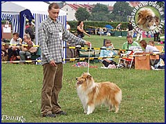 Owczarek Szkocki Collie - MŁ.CH.PL. RONJA vom Schloß Ramstedt Ronja - wystawa Sopot 11.08.2007