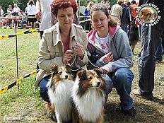 Owczarki Szetlandzkie Sheltie - FRANIA Surdykowska FCI i CH.PL. CELINKA Surdykowska FCI Frania i Celinka - wystawa Szczecin 16.06.2007