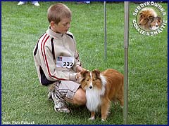 Owczarek Szetlandzki Sheltie - GABI Surdykowska FCI Gabi - wystawa Warszawa 08.07.2007