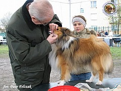 Ghandi - wystawa Grudziądz 19.04.2008