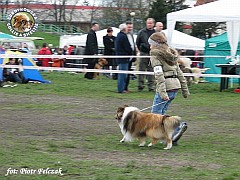 Ghandi - wystawa Grudziądz 19.04.2008