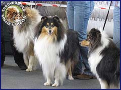 Jagódka - wystawa walentynkowa Bydgoszcz 14.02.2009