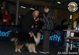 Harnaś - wystawa Gdańsk/oddz Gdynia 16.01.2011
