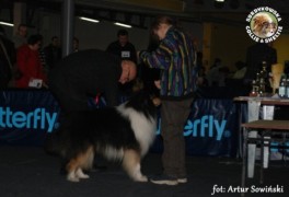 Harnaś - wystawa Gdańsk/oddz Gdynia 16.01.2011