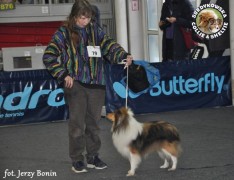 Fiduś - wystawa Gdańsk/oddz Gdynia 16.01.2011