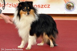 Heikko - wystawa nocna walentynkowa Bydgoszcz 12-13.02.2011
