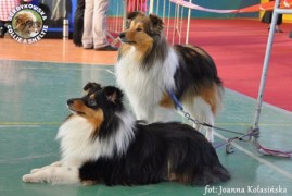 Heikko i Fiduś - wystawa nocna walentynkowa Bydgoszcz 12-13.02.2011