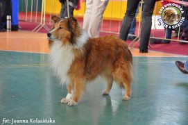 Boni - wystawa walentynkowa Bydgoszcz 12.02.2011