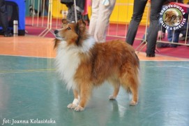Boni - wystawa walentynkowa Bydgoszcz 12.02.2011