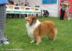 Boni - wystawa Sopot 13.08.2011