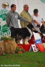 Owczarek Szkocki Collie - CH.PL.THINGOL Laurelin Valaquenta Apacz - wystawa Sopot 13.08.2011