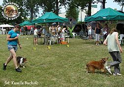 Boni i Celinka - wystawa Chojnice 28.07.2013