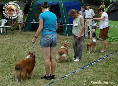 Boni i Redzik - wystawa Chojnice 28.07.2013