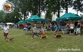 Boni i Redzik - wystawa Chojnice 28.07.2013