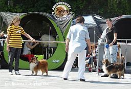 Boni i Celinka - wystawa Sopot 11.08.2013