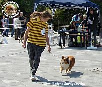 Boni - wystawa Sopot 11.08.2013