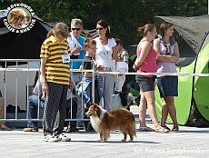 Boni - wystawa Sopot 11.08.2013