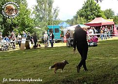 Tosia - wystawa Gdynia 22.06.2014