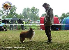 Boni - wystawa Gdynia 22.06.2014