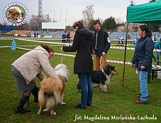 Leos - wystawa krajowa Nowy Dwór Mazowiecki