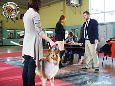 Leos - I Walentynkowa wystawa w Bydgoszczy