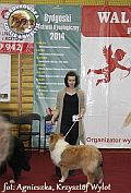 Leos - I Walentynkowa wystawa w Bydgoszczy