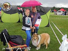 Holly - wystawa Konopiska ...07.2014