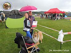 Owczarek Szkocki Collie - DREAM LOVE OF MY LIVE Surdykowska FCI Holly - wystawa Konopiska ...07.2014