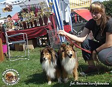 Celinka i Boni - wystawa Sopot 23.08.2014