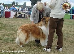 Lovcia - wystawa Sopot 23.08.2014
