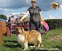 Lovcia - wystawa Sopot 23.08.2014