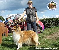 Lovcia - wystawa Sopot 23.08.2014