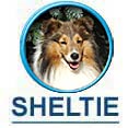 znak SHELTIE